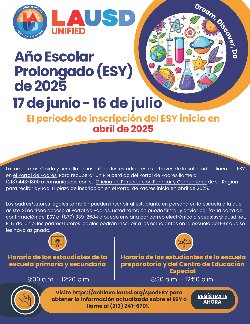ESY flyer